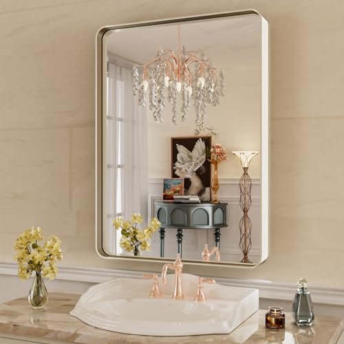 WEER 22X30 Zoll gebürsteter Nickel Badezimmerspiegel, Spiegel mit gebürstetem Silberrahmen, abgerundeter rechteckiger silberner Badezimmerspiegel, gehärtetes Glas, Anti